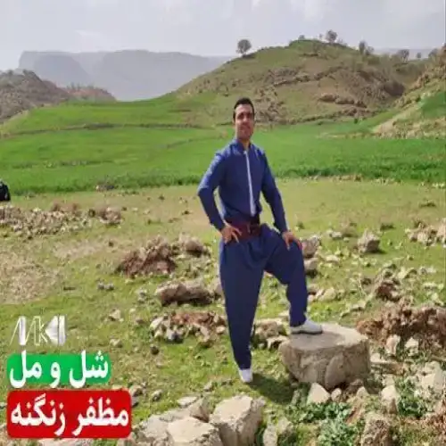 شل و مل